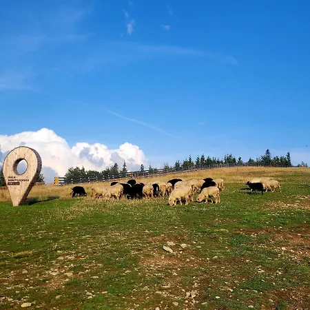 Skalista Apartament Szczyrk