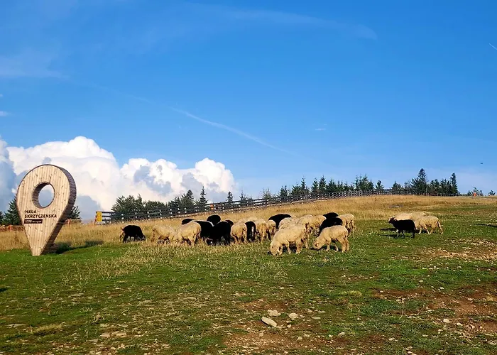 Skalista דירה שצ'צ'ירק